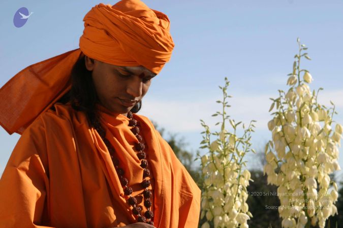 20040824 Photo 273 1QkTkVPVQDk3FqreVN6RKeHx1yVVrb80G.jpg