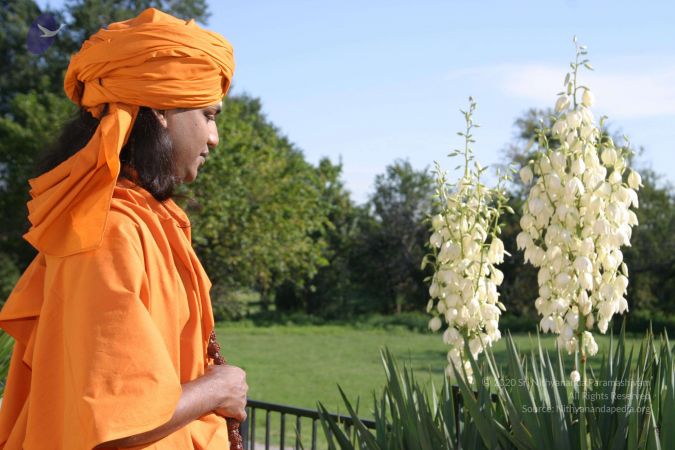 20040824 Photo 277 1p4dmi6D7jMqukm501uauSkd5drURCM-G.jpg