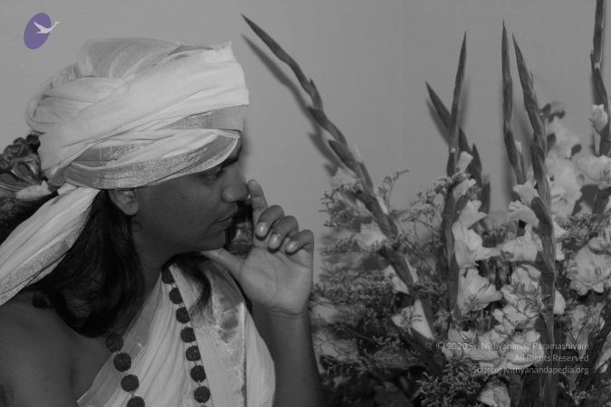 20040825 Photo 23 1et5fpMJNSBfn4eJ gUXHMaUbd6pvX2lq.jpg