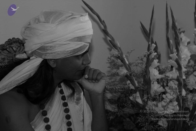 20040825 Photo 24 1jVITHNG7TSZvNucTFIsmv4OOolaAsQgO.jpg