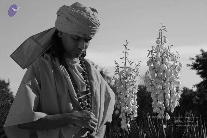 20040825 Photo 272 1AZagnpf2Xe8oywtZwWxAeC243OyVCGLX.jpg