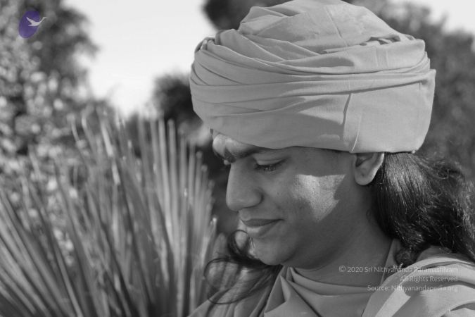 20040825 Photo 287 121 kBwlURKIwcQfeeNts-Pxse639qGB .jpg