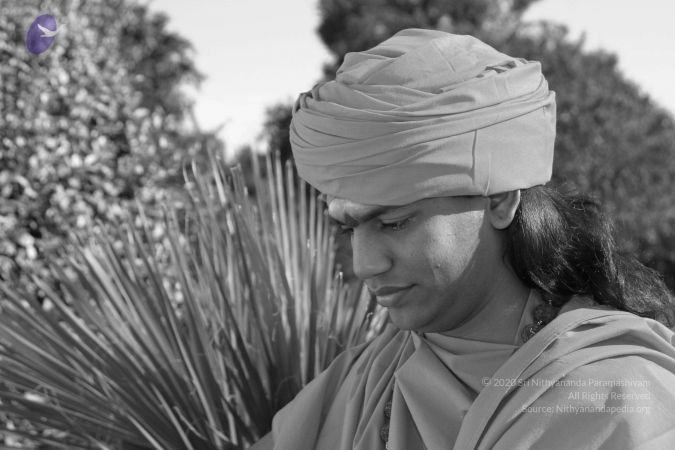 20040825 Photo 301 1IcbSFlbLypmmfB6EqOXN4UOfUbiU urJ.jpg