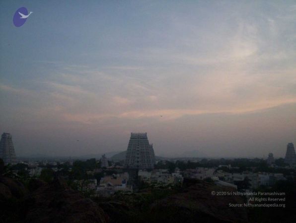 20051114 100 6762 CMP WM00-1.jpg