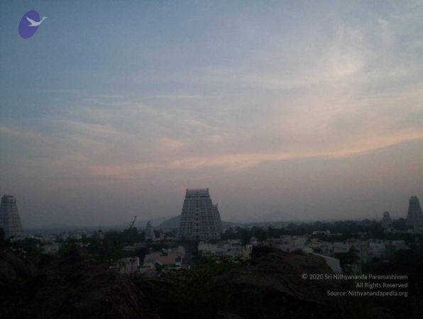 20051114 100 6763 CMP WM00-1.jpg