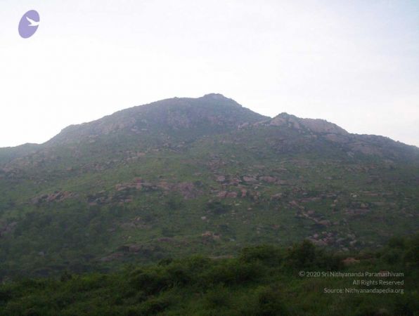 20051114 100 6766 CMP WM00-1.jpg