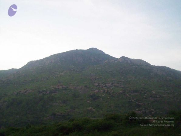 20051114 100 6767 CMP WM00-1.jpg