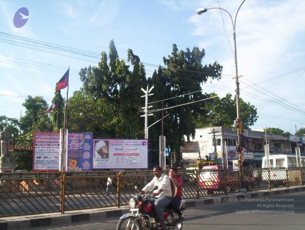 20051119 Photo 1040 1rTehldG0alEIdcULbijE8vgYSIU6XjsQ.JPG