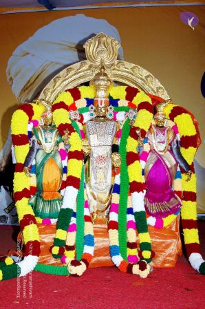 20051201 DSC 3844 CMP WM 11.jpg