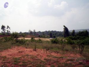 2005 100 4055 CMP WM01.jpg
