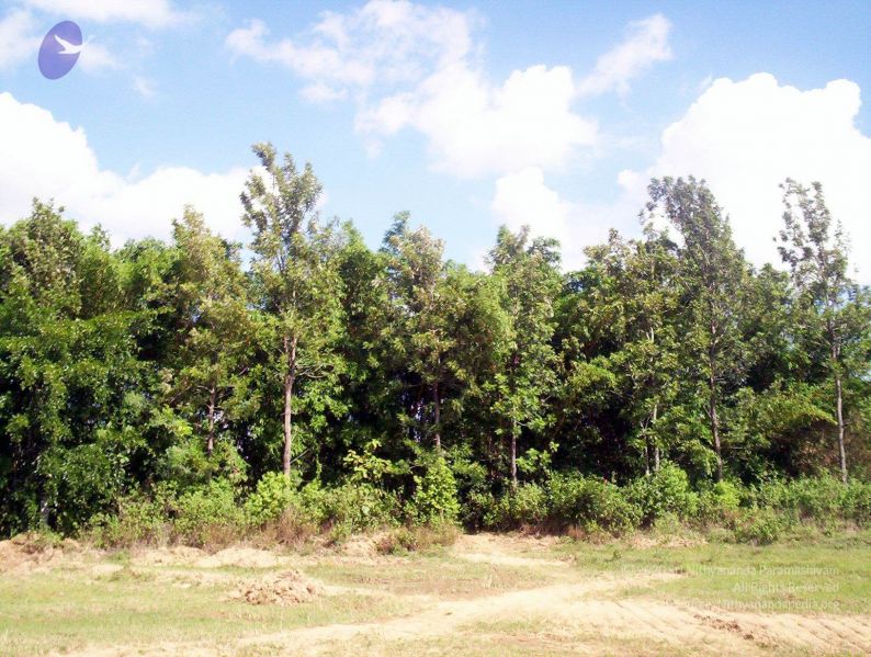 File:2005 272 CMP WM01.jpg