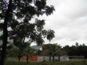 2005 396 CMP WM01.jpg