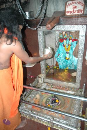 20060105 Picture 200 CMP WM.jpg