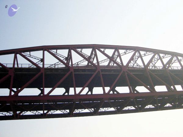 20060106DSC02385 CMP WM001.jpg