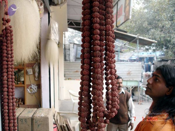 20060107DSC00079 CMP WM001.jpg