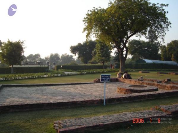 20060109 Photo 1312 1mykj9fs-ZOsGarCoHyT7HHaeKMHHBQaP.JPG