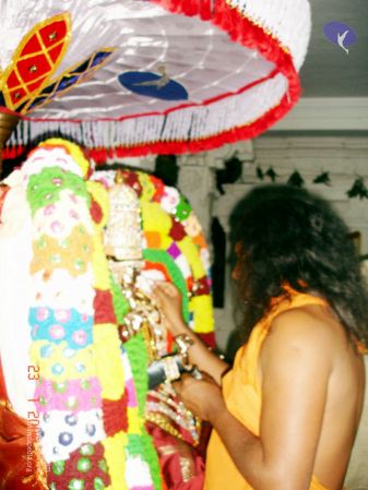 20060123 DSC00007 CMP WM.jpg