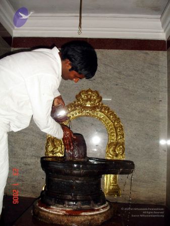 20060123 DSC00021 CMP WM.jpg