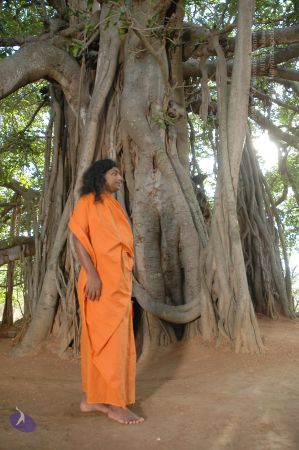 20060419 Photo 1061 1vfcN1e5vV1 fxguO8lS4qpnc13pkhZeK.JPG