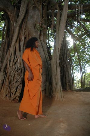 20060419 Photo 1062 1Tb t5bkzTEyHNCyjQKPmuM6UuZGRt0A1.JPG