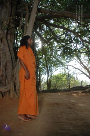 20060419 Photo 1064 1ptW2Zp3 pzKPNwgG9dNlZLbO VLVnbn1.JPG