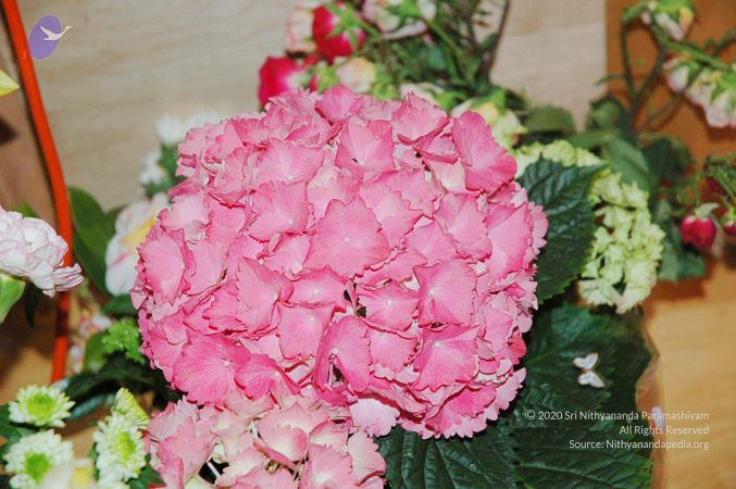 20060423 Photo 61 1C7K6Z8vBY2GXIBLGDAYCeGOOPZigbWe9.jpg