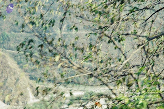 20060523 Photo 18 1u63HgGYzhMJTO4UfBtYszSEdbQmKLjqQ.jpg