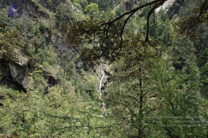 20060524 Photo 143 1MoiNpHXJJBP2iYAmLuRcQO9AcDIBcSKo.jpg