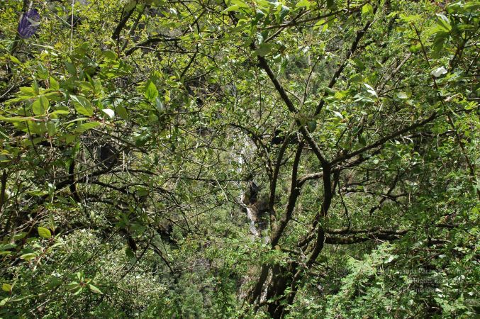 20060524 Photo 147 1qrs34y2KPqVHdw5PLLfEJ7-WLQ ZBHbh.jpg