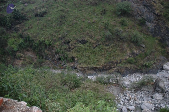 20060524 Photo 3 10P-Te0qmY02nESneB0wq-xAIOTXDrvur.jpg