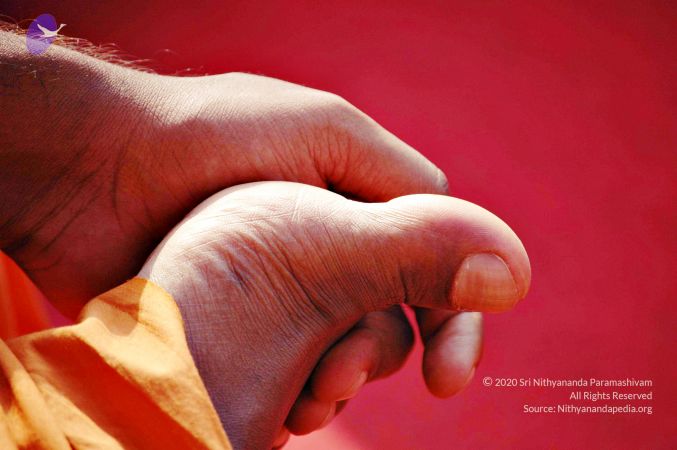 20060526 Photo 396 1YPXq1JyMU9r8tA9MZ8WPLTMKM u4OWlH.jpg