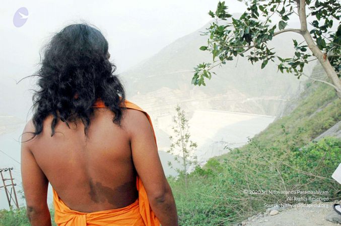 20060528 DSC 0014 CMP WM33.jpg