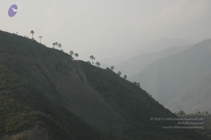 20060528 Photo 1001 1sGFbKV9p15szlqTXJy3BZIqC6m 3qUO-.JPG