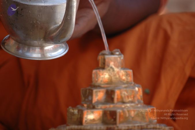 20060601 DSC 0141 CMP WM.jpg