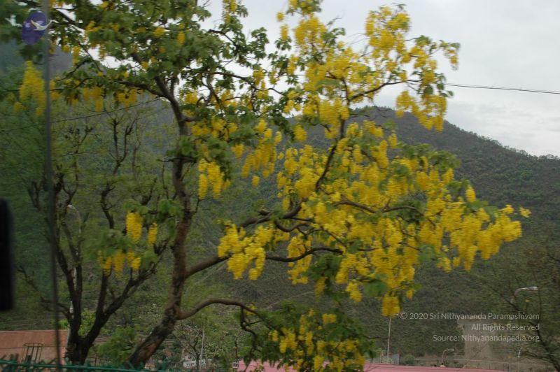 File:20060603 DSC 0007 CMP WM.jpg