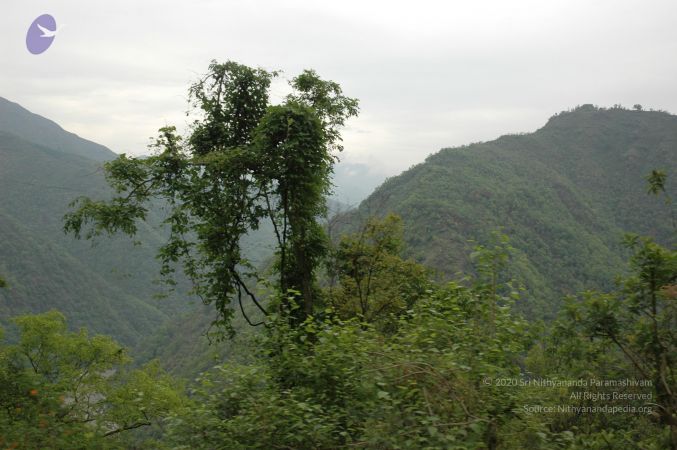 20060603 DSC 0092 CMP WM.jpg