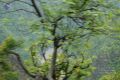 Thumbnail for version as of 06:15, 2 May 2021