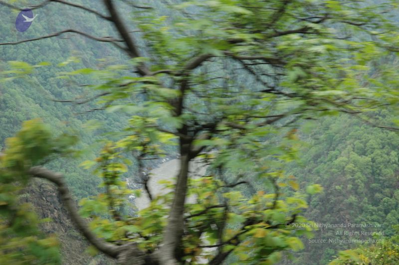 File:20060603 DSC 0095 CMP WM.jpg