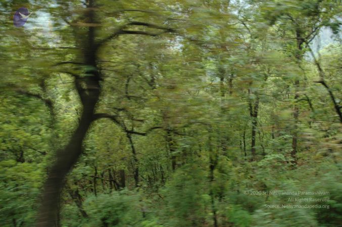 20060603 DSC 0145 CMP WM.jpg