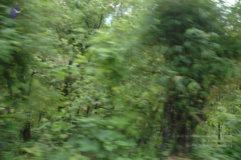 File:20060603 DSC 0146 CMP WM.jpg