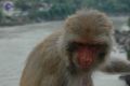 Thumbnail for version as of 06:23, 2 May 2021