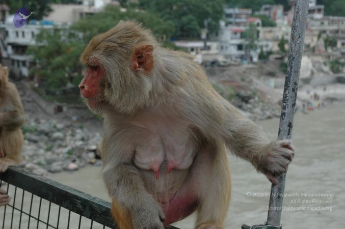 20060603 DSC 0164 CMP WM.jpg