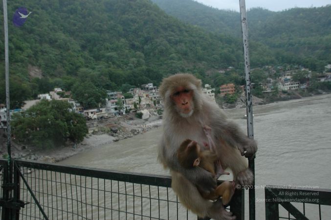 20060603 DSC 0165 CMP WM.jpg