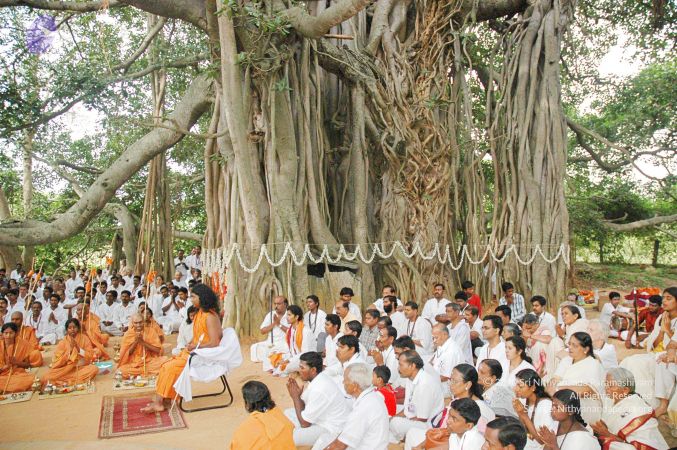 20060712 Photo 98 1MuJupK898sxNhhJXwXEql d6YJ9k Fvc.jpg