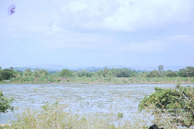 20060817 Photo 169 1oPOIBJO4YxAxLKomX CXRSklU5AmvH2D.jpg