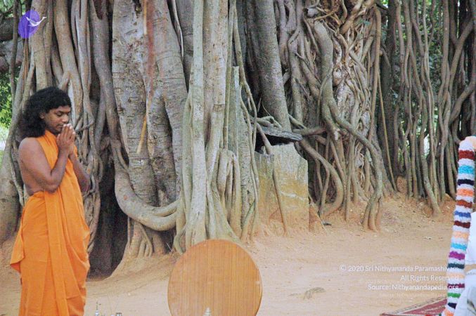 20060817 Photo 323 1VOk5qEfoqNgd LG6WNVjKSRvZaQBh8AG.jpg