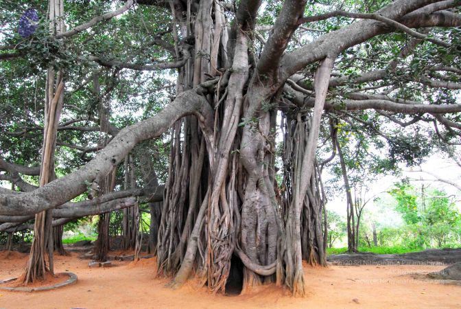 20060818 Photo 1222 1tvjyKArZDRacEFeavwm q0QYVi Usau1.JPG