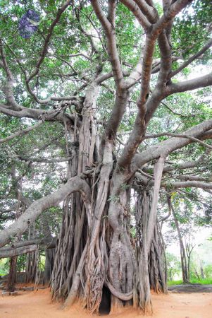 20060818 Photo 1223 1E6DYh8dQjaQgcGUXqxaNg0AOiCOF3xvA.JPG