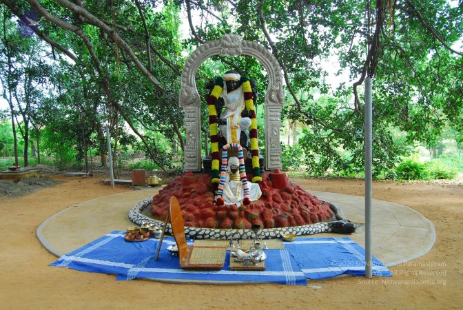 20060818 Photo 1237 1x63gBSd7GNmhzUWAT7 H25eX1psDlcV0.JPG