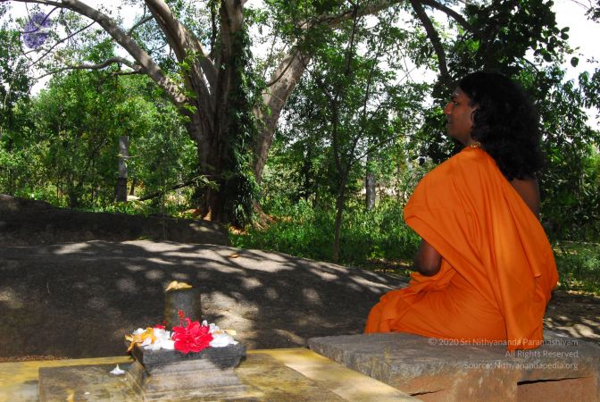 20060818 Photo 1257 1DRq2u3lKQVATG-MqSUl5qs5 ytVXsSk1.JPG